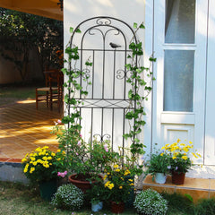 6ft Metal Climbing Trellis