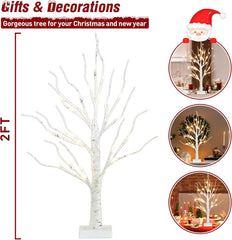 2ft Lighted Indoor & Outdoor Birch Tree