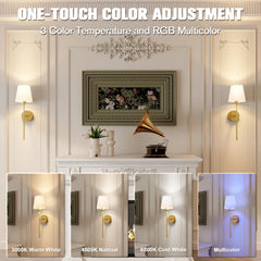2-Pack Wall Lights Battery Operated Wall Sconces