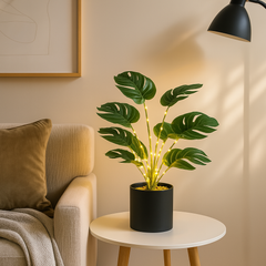 Simulation Monstera with Fairy light