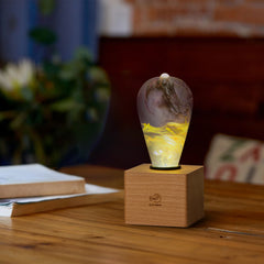 EP Light wooden lamp - Golden