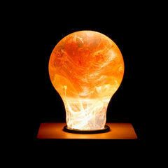 EPlight Sunflower resin LED bulb