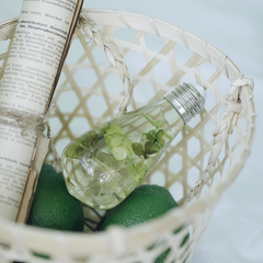 white hydrangea in light bulb