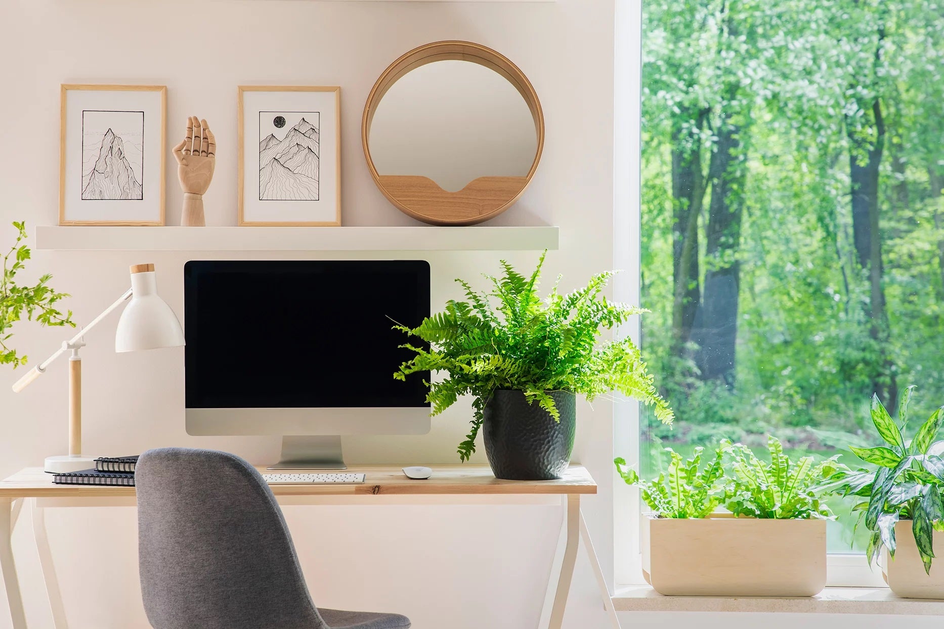 6 Best Plants To Decorate Your Home Office