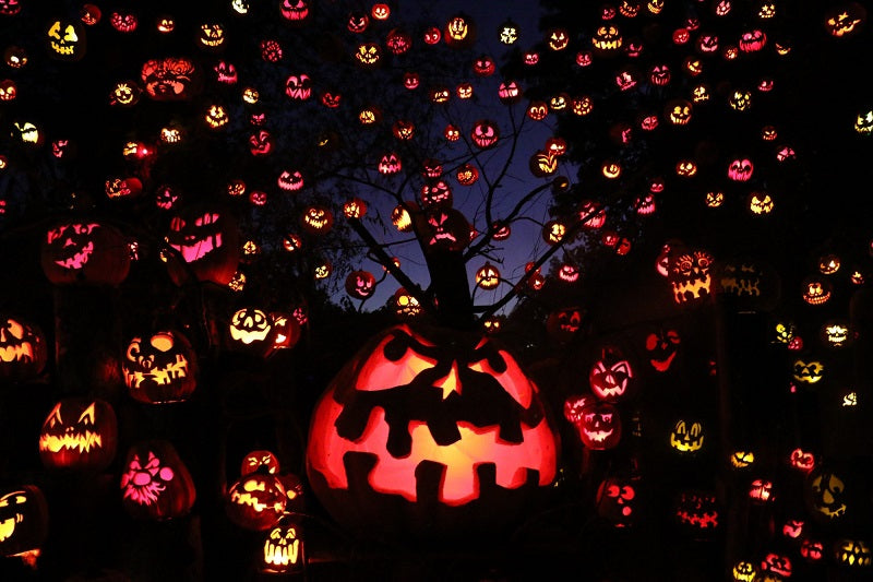 Cheap & Easy Halloween DIY Outdoor Decorations