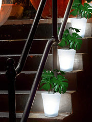 Solar Plant Lights, White LED Flower Pot Lights