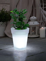 Solar Plant Lights, White LED Flower Pot Lights