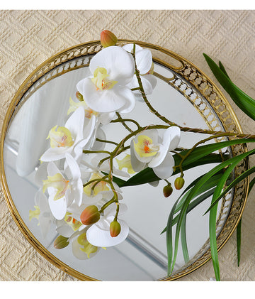 Phalaenopsis Orchid Desk Lamp