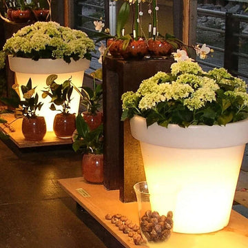 Solar Plant Lights, White LED Flower Pot Lights