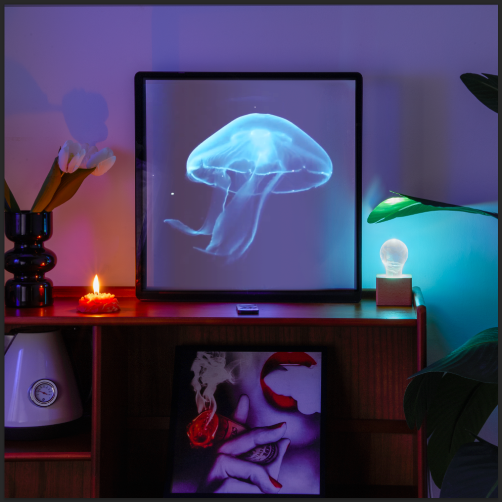 3D Hologram LED Fan With Frame, Naked Eye 3D Projector | EP LIGHT – EP ...