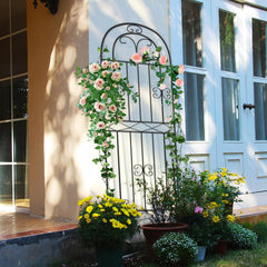 6ft Metal Climbing Trellis