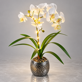 Phalaenopsis Orchid Desk Lamp