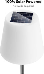 Outdoor Solar Floor Lamp