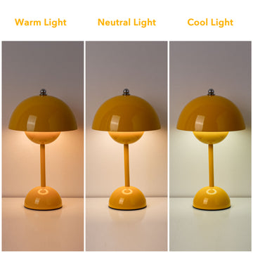 Modern Mushroom Table Lamp Rechargeable LED Light