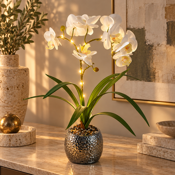 Phalaenopsis Orchid Desk Lamp