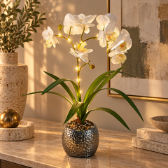 Phalaenopsis Orchid Desk Lamp