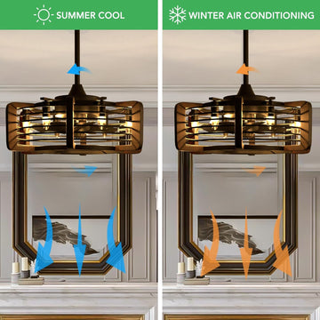 Caged Ceiling Fans with 6 LED Lights