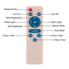 POST LAMP REMOTE CONTROL