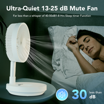 Indoor & Outdoor Retractable LED Fan