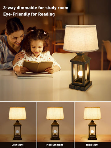 20.5in Black Gold Farmhouse Bedside Table Lamp (Including Light Bulbs)