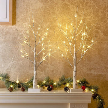 2ft Lighted Indoor & Outdoor Birch Tree