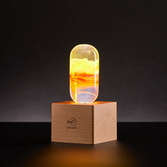 EP LIGHT - 3-Pack LED Bulbs