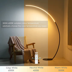 RGBW Modern Curve Floor Lamp | New Version